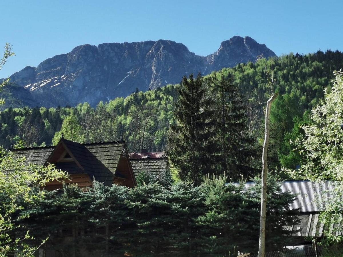 Willa Senator Zakopane Bagian luar foto