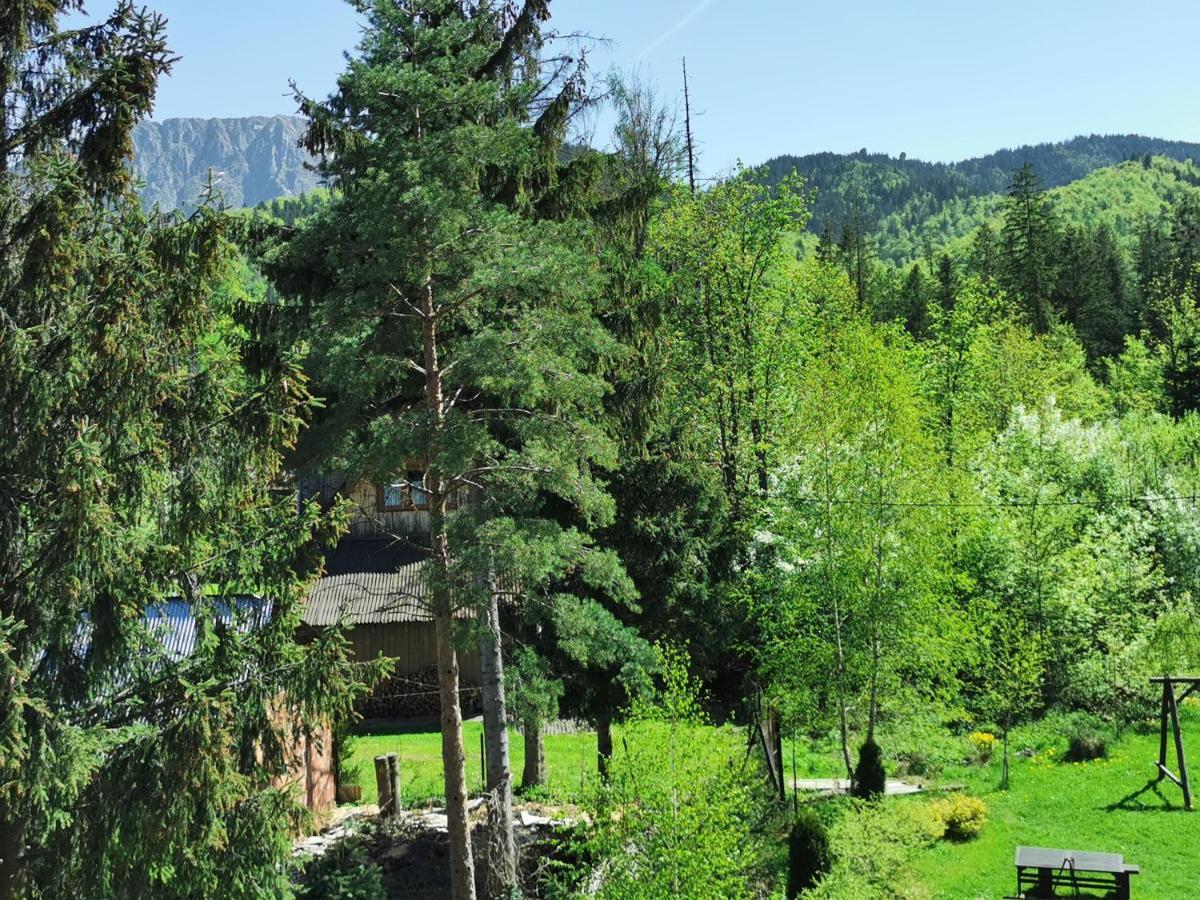 Willa Senator Zakopane Bagian luar foto